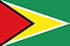 Guyana flag